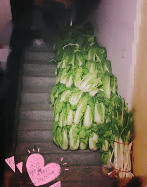 管鲍分拣中心富二代丝瓜直接登陆就可以观看,网友：终于可以免费看片了