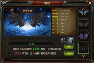 奇迹mu3代绑定翅膀（奇迹mu四代绑定翅膀怎么弄）