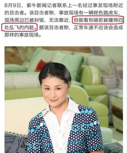 探访于月仙车祸现场(实地探访于月仙车祸现场,还原当日事故经过)