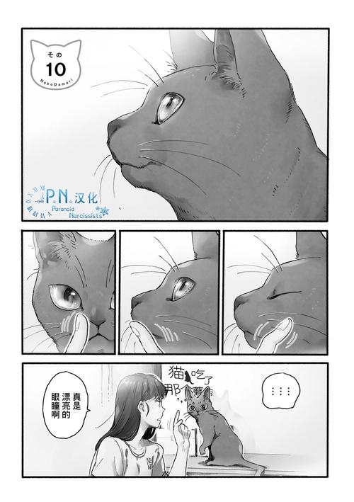 喵喵漫画登录页面入口在哪(喵喵漫画免费登录,详细说明漫画登录入口) 喵喵漫画登录页面入口在哪(喵喵漫画免费登录,详细说明漫画登录入口)