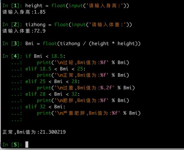 编程中input是什么意思(input入门指南：了解编程中输入功能)