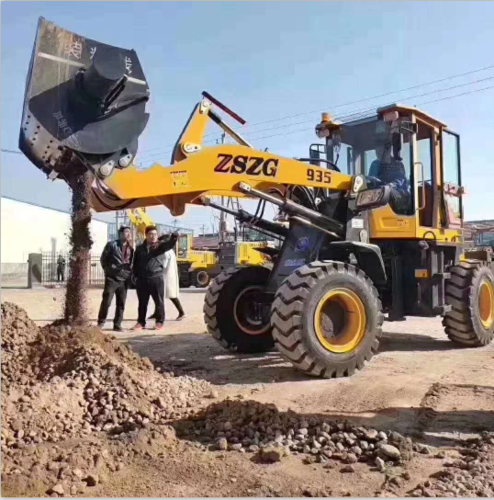 装载机挣不挣钱怎么看视频(装载机挣不挣钱，视频详解)