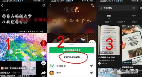 抖音如何拍很好看视频赚钱(抖音如何拍照看视频赚钱)