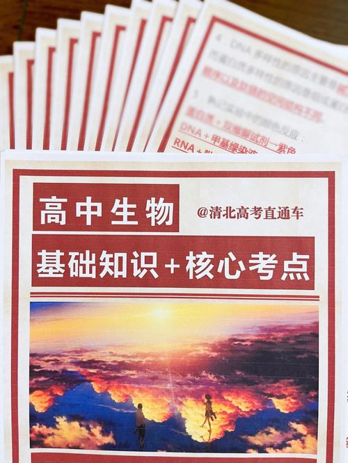汇编语言包括哪些(汇编语言详解：涵盖基础知识与高级特性)
