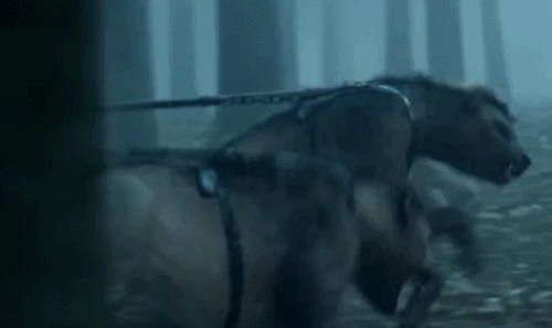 羞羞漫画登陆页面入口界面(羞羞漫画登录免费页面入口)