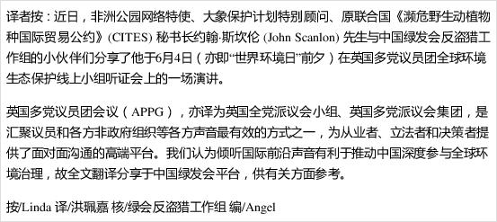 initiative是什么意思中文