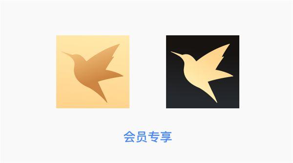 迅雷vip破解版(迅雷VIP破解版：详细揭秘破解方法)
