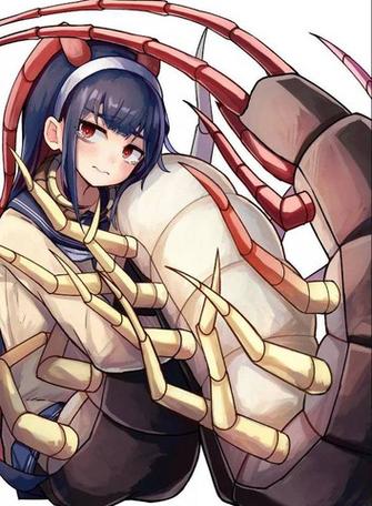 土狗漫画解说网站入口大全(土豪漫画登录入口免费首页)