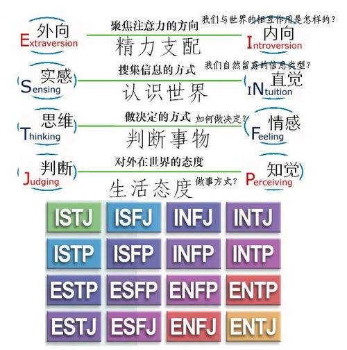 ENFP是什么意思(十六型人格都是什么)