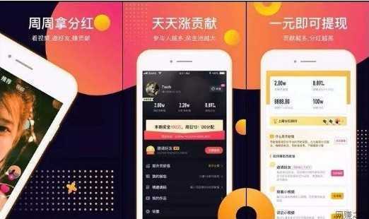 看视频软件哪个能赚钱的(看视频软件哪个能赚钱多)