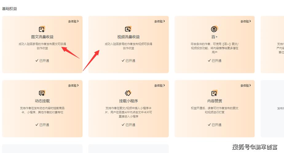 花钱看视频怎么样才能赚钱(花钱看视频赚钱，获取收益指南)