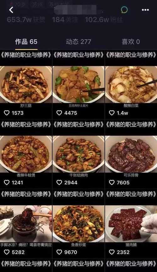 跟着土豆看视频赚钱(跟着小杨看视频怎么赚钱)