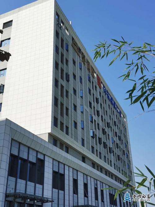 荣耀西安论坛(荣耀西安论坛 西安城荣耀玩家聚集地)