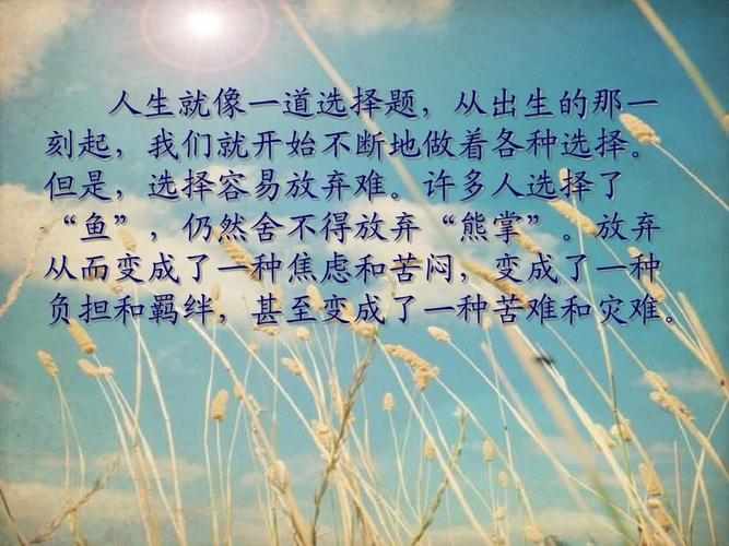 人生的选择(关于选择的哲理句子)