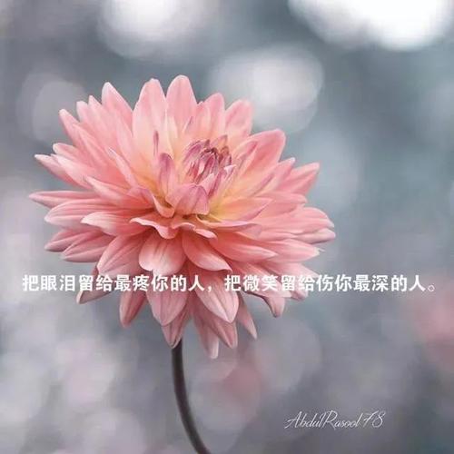 人生的选择(关于选择的哲理句子)