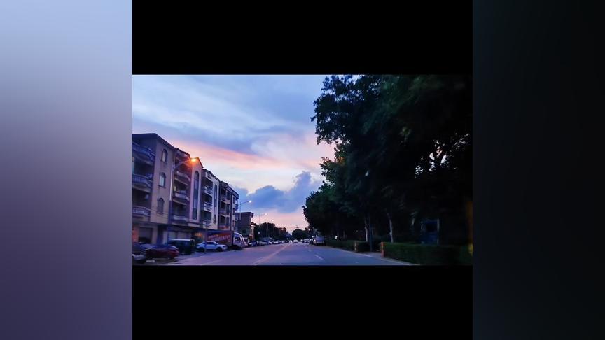 鲸鱼看视频赚钱是骗子吗(鲸鱼看视频赚钱是真的吗)