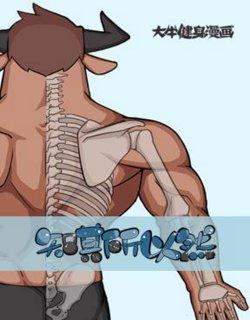 大牛漫画合集网站入口(大牛漫画在线观看网站入口)