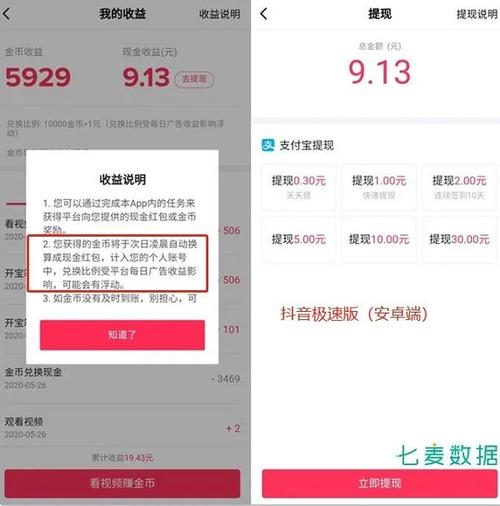 抖音极速版看视频赚钱下载安装(抖音极速版下载赚钱攻略，轻松获取收益)