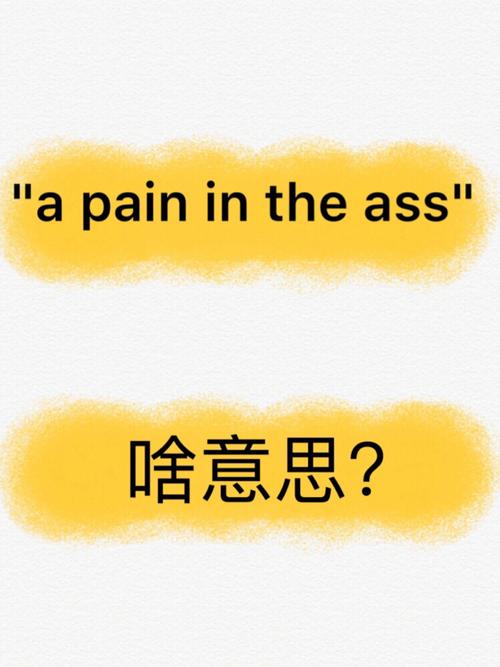 in the field是什么意思(in the field, 深入解读专业领域的含义)