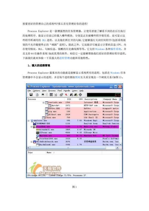进程管理软件(process软件使用)
