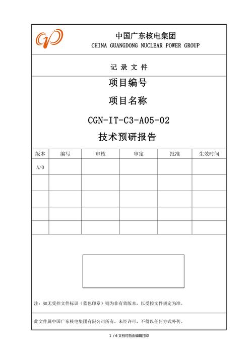 软件系统技术报告(软件技术报告范文)