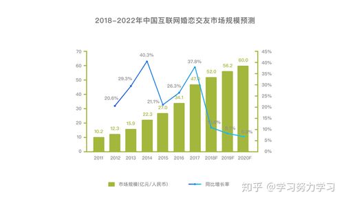 社交软件分析报告(社交软件市场分析)