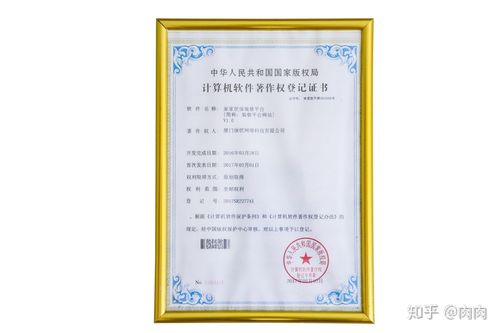 软件著作权无形资产(软件著作权属于无形资产的哪一类)