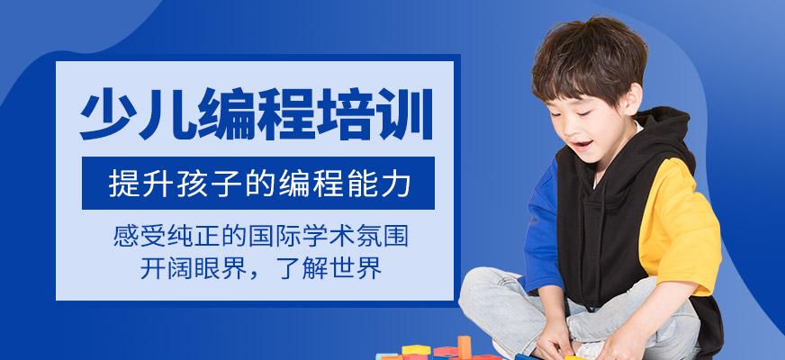 请问去哪里学编程比较正规(学编程在哪里学比较正规)