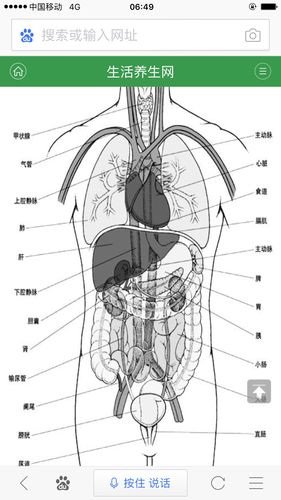 飞机垂直坠落人会怎么样(飞机垂直坠落:人体生理反应与生存几率解析) 飞机垂直坠落人会怎么样(飞机垂直坠落:人体生理反应与生存几率解析)