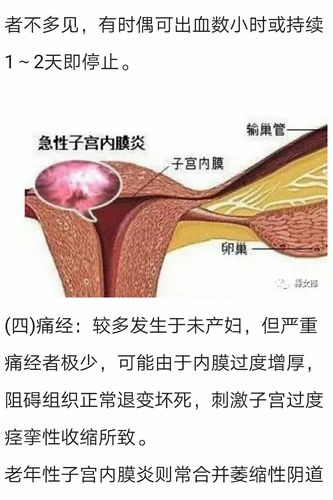 女生能承受多少厘米(女生能承受多少厘米：深度解析女性生理极限)