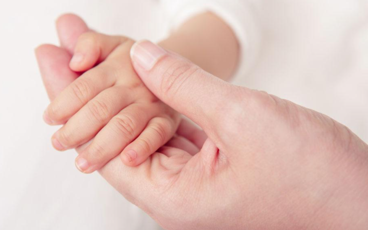 宝宝的扇贝真会夹哦WWW(宝宝的扇贝：探索儿童手部协调与精细动作发展)