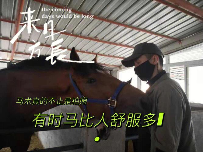 在骑马的时候要了你(“骑马安全指南：在骑马时需要注意的关键事项”)