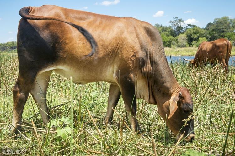 他顶撞的速度越来越快(“他顶撞的速度越来越快:深入解析速度提升的原因与影响”) 他顶撞的速度越来越快(“他顶撞的速度越来越快:深入解析速度提升的原因与影响”)