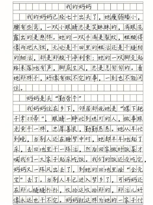 让对方随便弄隐私作文(隐私保护：让对方随意处理的作文技巧与策略)