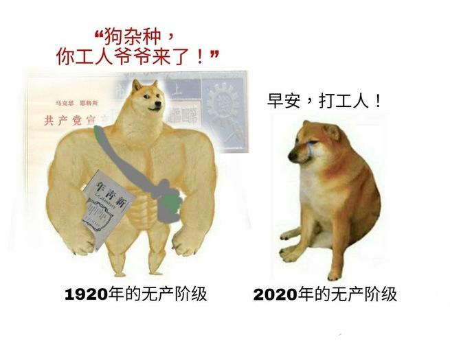 china中国青年gary外卖抖抖(中国青年：Gary外卖的抖抖现象解析)