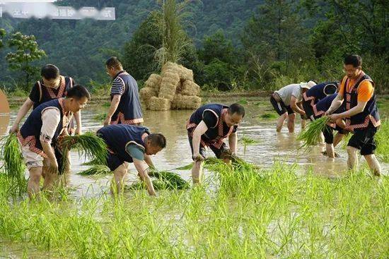夫妻之间的108种插秧法(夫妻之间的108种插秧法:亲密关系的和谐之道) 夫妻之间的108种插秧法(夫妻之间的108种插秧法:亲密关系的和谐之道)