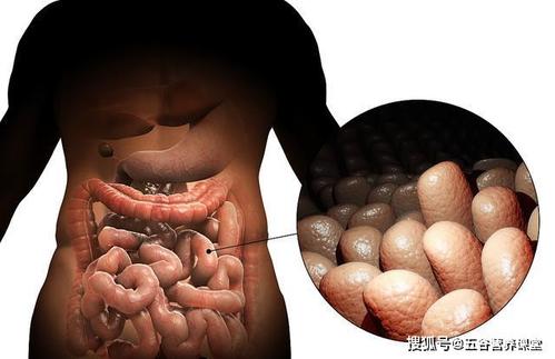 一直在体内的东西又变大了(“体内变化：深入了解身体内部不断增长的现象”)