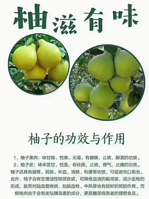 柚子的功效与作用禁忌(柚子的神奇功效与作用，以及不可忽视的食用禁忌)