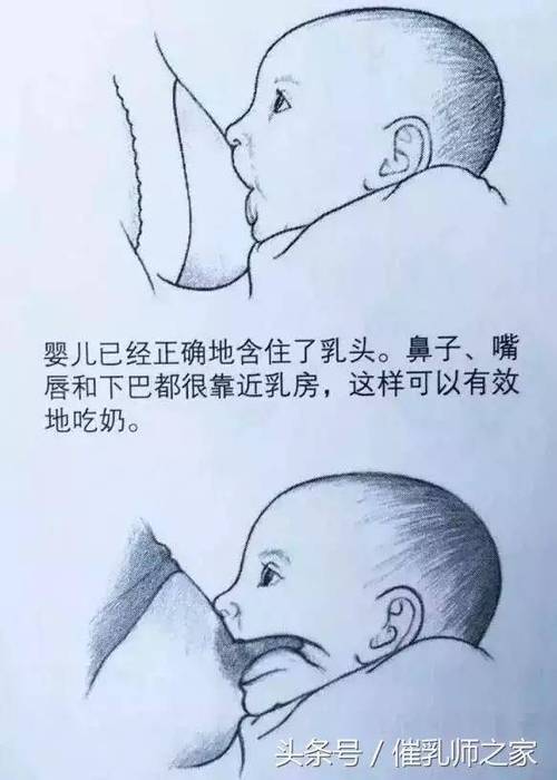 两个奶头被吃得又翘又肿(两个奶头被吃得又翘又肿：深入解析乳房护理与性爱技巧)