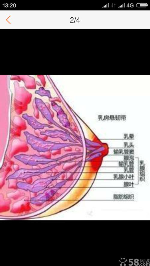 奶头被夹得又翘又硬怎么办(奶头被夹得又翘又硬：解决不适与恢复柔软的实用指南)
