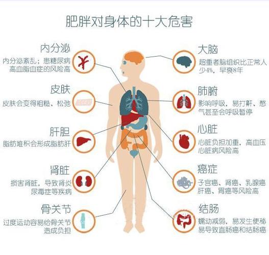 每天吃鸡蛋的危害(每天吃鸡蛋的危害：深入了解鸡蛋摄入过量的风险)