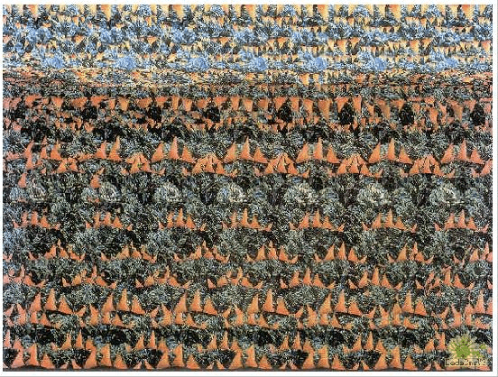 三维立体图怎么看(三维立体图怎么看：轻松掌握立体视觉技巧)