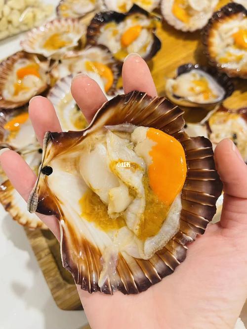 扒开大腿就可以吃到扇贝吗(“扒开大腿的扇贝：探索扇贝的食用方法与美味秘诀”)