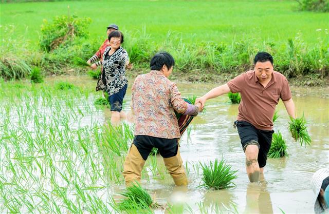 夫妻之间的108种插秧法(夫妻之间的108种插秧法:亲密关系的和谐之道) 夫妻之间的108种插秧法(夫妻之间的108种插秧法:亲密关系的和谐之道)