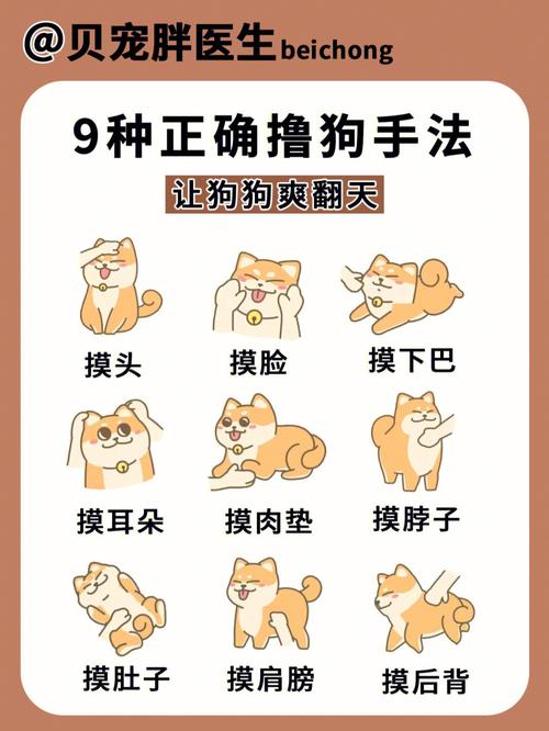 如何让狗狗进入自己的房间(如何让狗狗进入自己的房间：简单有效的方法)