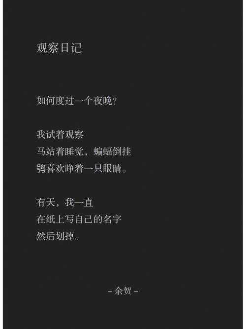小诗的公交车日记1一7(小诗的公交车日记1-7：城市穿梭的诗意之旅)