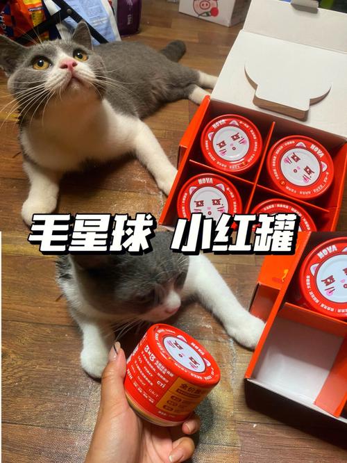 小明给小红灌10瓶水不让尿(“小明给小红灌10瓶水：揭秘背后的动机与影响”)