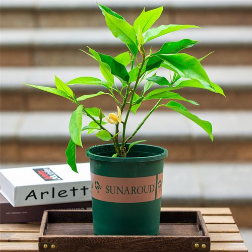 一共有多少种B型照片(B型照片种类全解析:深入了解各种B型照片的特点与应用) 一共有多少种B型照片(B型照片种类全解析:深入了解各种B型照片的特点与应用)