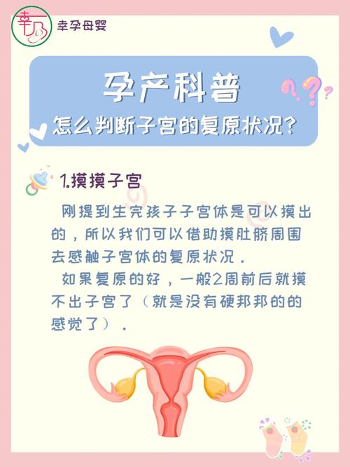 太多了子宫装不下了(“子宫空间不足：详细说明如何有效解决”)