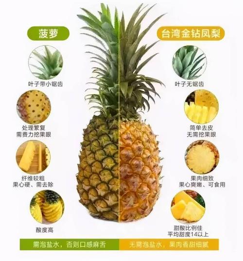 菠萝是凉性的还是热性(菠萝:凉性还是热性?深入探讨其属性及食用建议) 菠萝是凉性的还是热性(菠萝:凉性还是热性?深入探讨其属性及食用建议)